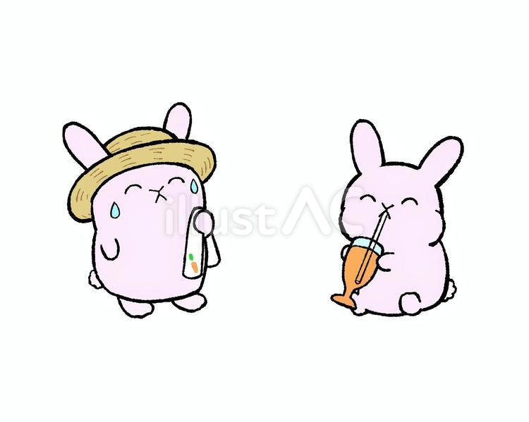 うさぎ（麦わら帽子・水分補給） ウサギ,うさぎ,兎のイラスト素材