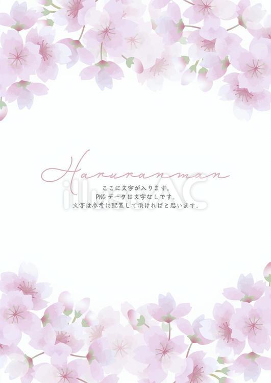 桜フレーム 春,桜,3月のイラスト素材