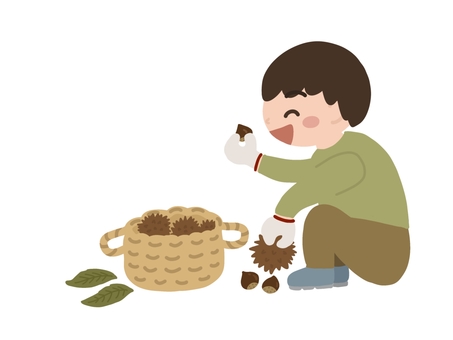 栗拾いをする男性 栗拾い,くり,自然,食べ物,秋,収穫,人物,男性,笑顔,手描きのイラスト素材