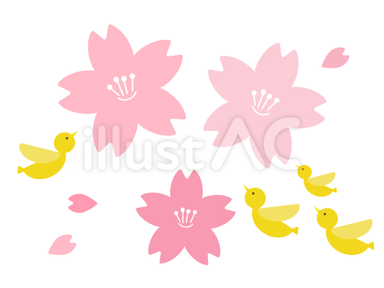桜の花と黄色い鳥 桜,鳥,春のイラスト素材