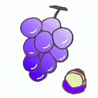 巨峰のイラスト 巨峰,ぶどう,フルーツ,果物,秋の味覚,青果,果樹,イラストのイラスト素材