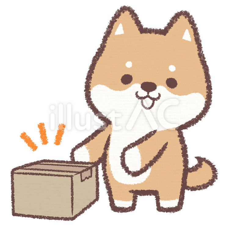 置き配イヌ 犬,柴犬,動物のイラスト素材