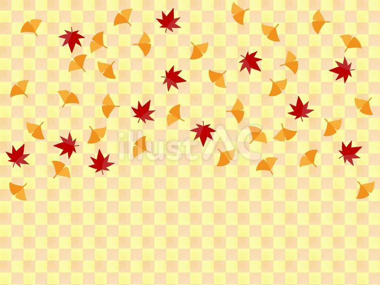 舞い落ちる紅葉とイチョウ・市松模様の背景 紅葉,秋,紅葉狩りのイラスト素材
