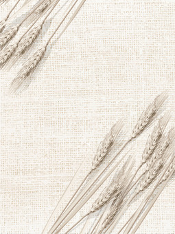 黄金色の麦穂と麻布の背景　mugi011 麦穂,黄金色,リアル,ナチュラル,お洒落,自然,植物,大人っぽい,枠,背景のイラスト素材