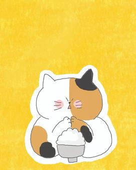 ご飯を食べる三毛猫ちゃん♪ かわいい,ごはん,白米,お米,米,食事,茶碗,食べ物,ねこ,三毛猫のイラスト素材