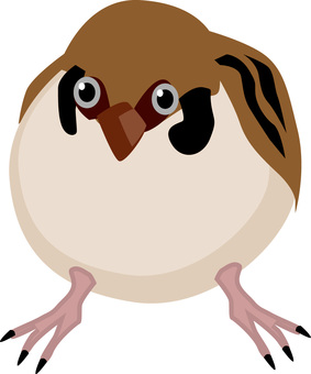 雀 雀,小鳥,野鳥,かわいい,羽,正面,リアルのイラスト素材