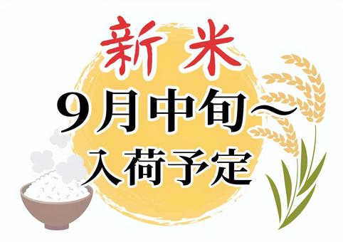新米入荷予定のお知らせ　9月中旬～ 新米,入荷予定,お知らせ,9月,中旬,貼り紙,pop,ポップ,チラシ,文字のイラスト素材