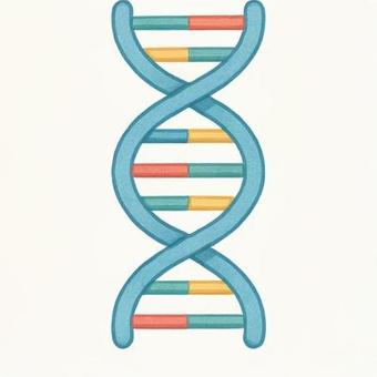 遺伝子DNA
