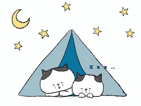 キャンプの夜（ハチワレ親子） キャンプ,キャンプ場,猫,テント,自然,屋外,野外,アウトドア,野良猫,飼い猫のイラスト素材