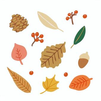 どんぐりや松ぼっくりと色々な枯葉など