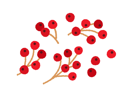 柊の赤い実 クリスマス,赤い実,柊,手描き,かわいい,飾り,植物,実のイラスト素材