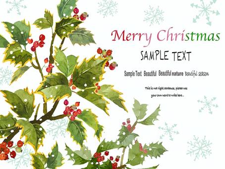 Illustration, christmas, postcard, plant, 