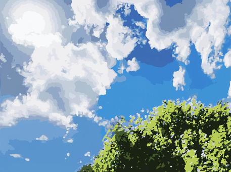 空と木 空,木,日差し,雲,背景,壁紙,水色,緑,太陽,夏のイラスト素材