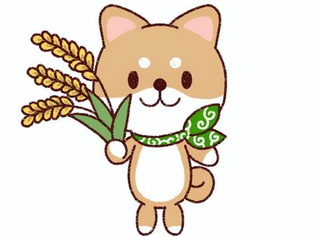 稲穂を持つ持つ柴犬 犬,柴犬,豆柴,赤柴,動物,ペット,かわいい,手描き風,キャラクター,カット素材のイラスト素材