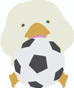 サッカーボール_鳥_あひる_笑顔 サッカー,ボール,アヒル,鳥,笑顔,動物,かわいい,スポーツ,イラストのイラスト素材