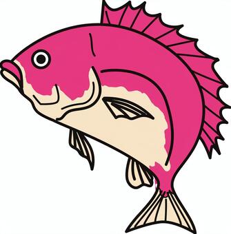 red snapper, JPG and EPS red snapper, , JPG and EPS