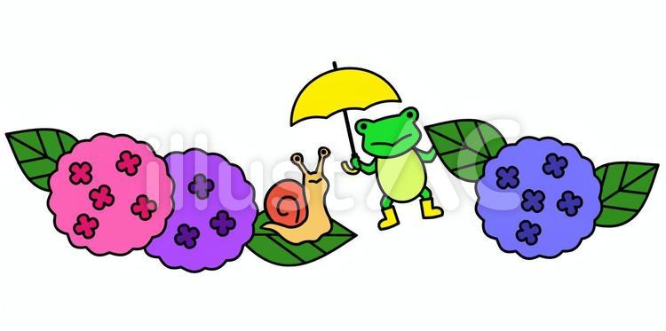 カエルとカタツムリとアジサイ２ 紫陽花,カエル,カタツムリのイラスト素材