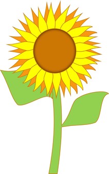 sunflower, flower, summer, plant, JPG and PNG