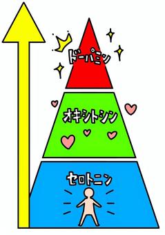幸せホルモンの段階　カラー 幸せ,ホルモン,ハート,矢印,オキシトシン,ドーパミン,セロトニン,カラーのイラスト素材