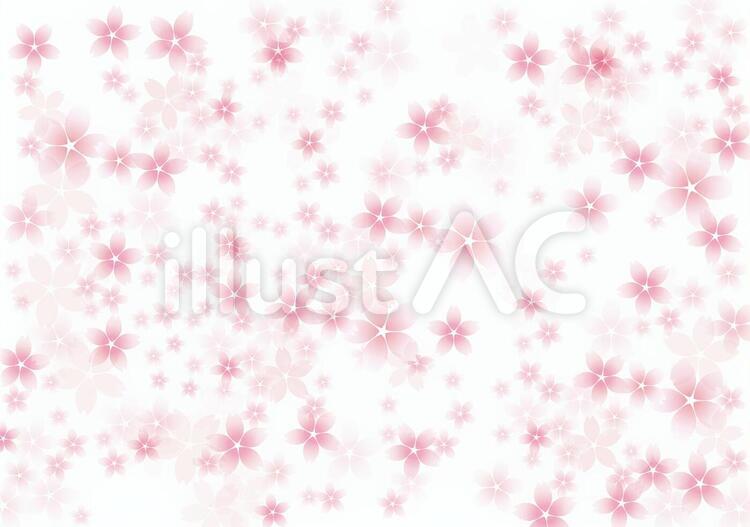桜花爛漫12 花,桜,春のイラスト素材