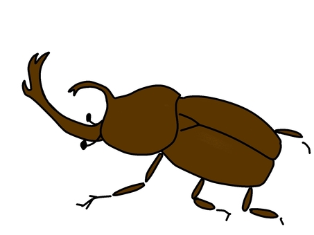 beetle, , JPG and PNG