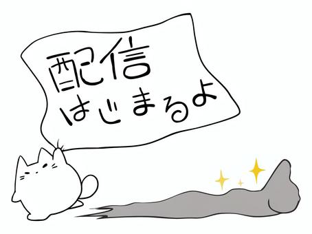 配信 始め ねこ ねこ,白猫,配信,開始,告知,動画,キラキラ,ダッシュ,主線あり,アイキャッチのイラスト素材