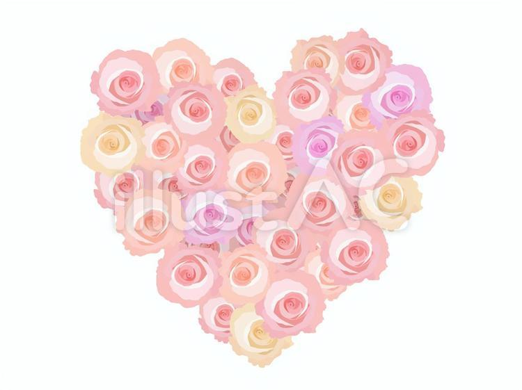 薔薇のハート　ピンク 薔薇,バラ,花のイラスト素材