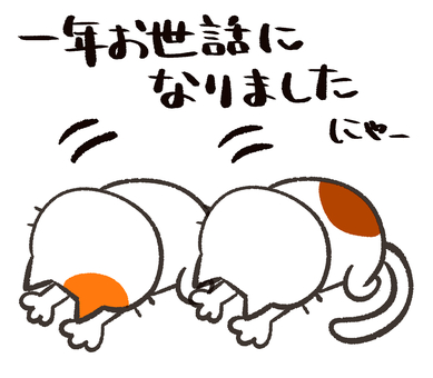 年末の挨拶をする三毛猫二匹１ ねこ,三毛猫,ブチ猫,かわいい,ゆるい,土下座,ぺこり,挨拶,二匹,ペアのイラスト素材