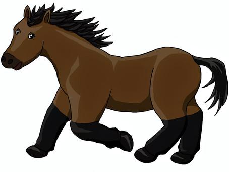 走る馬 馬,走る,駈足,生き物,動物,茶色,ブラウン,黒,哺乳類,陸生のイラスト素材