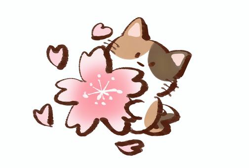 桜と猫 桜と猫 桜,春,花のイラスト素材