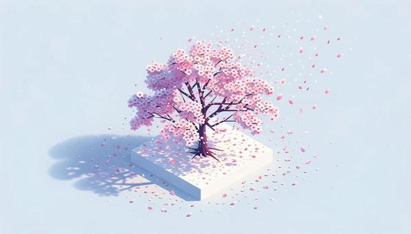 Illustration, sakurafubuki, full bloom, cherry blossoms, 