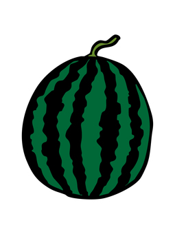 丸スイカのイラスト