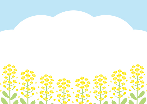 春の菜の花と青空の背景素材 菜の花,春,花,背景,フレーム,空,風景,春の風景,青空,飾り枠のイラスト素材