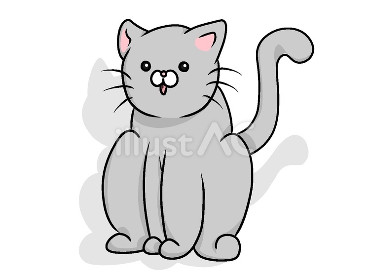 座るグレーの猫 猫,グレー,座るのイラスト素材