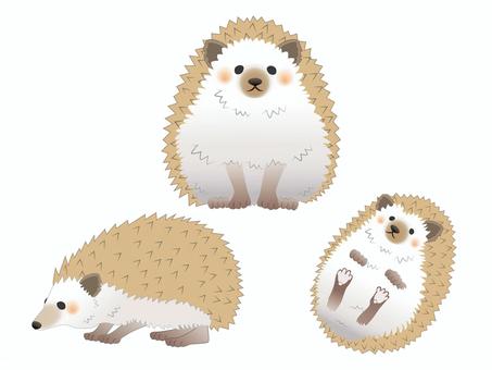 Illustration, hedgehog, small animals, a pet, 