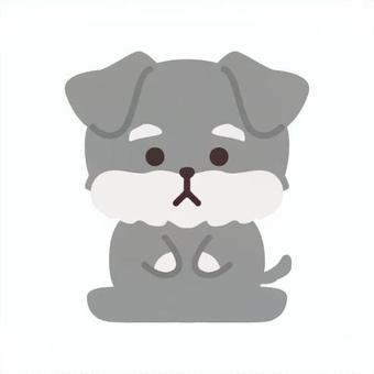 お座りシュナウザーのイラスト素材 シュナウザー,ペット,愛犬,グレー,お座り,かわいい,動物,犬,犬種,品種のイラスト素材