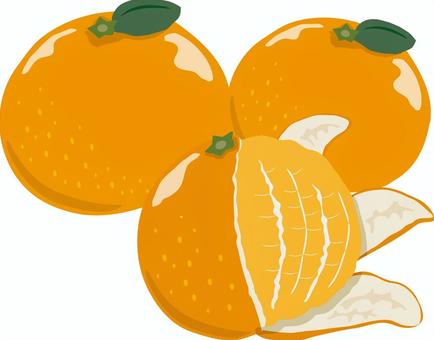 皮をむいたミカンのセット みかん,オレンジ,フルーツ,果物,果実,皮,剥いた,剥く,デザート,スイーツのイラスト素材