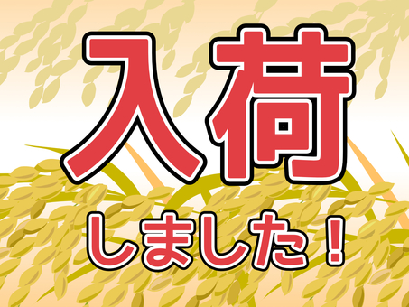 Illustration, arrival of goods, meter, rice, 