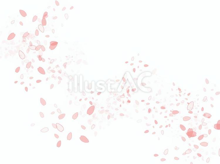 桜の花びら1 かわいい,ピンク,背景のイラスト素材