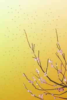 梅の花C 梅の花,花,フラワー,梅,梅花,うめ,ウメ,枝,木,樹木のイラスト素材