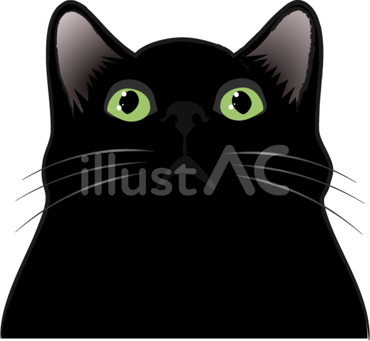 黒い猫 2 猫,黒,動物のイラスト素材