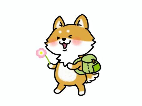 遠足に行く犬さん　お花 柴犬,遠足,リュックサック,ピクニック,ハイキング,おでかけ,野外活動,アウトドア,幼稚園,保育園のイラスト素材