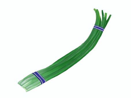 Illustration, bud of garlic, vegetables, bundle, 