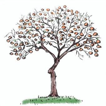 柿の木 柿,木,自然,緑,筆描き,墨絵,水墨画,植物のイラスト素材