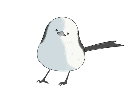 シマエナガ（正面） シマエナガ,鳥,動物,北海道,白,正面のイラスト素材
