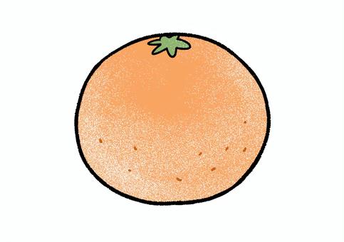 Illustration, frozen oranges, fruit, tangerine, 