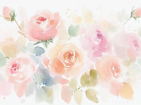 Illustration, aquarela, rosas, pálido, 