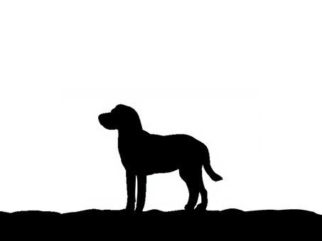 犬。。 犬,吠える,ペット,鳴く,シルエット,動物のイラスト素材
