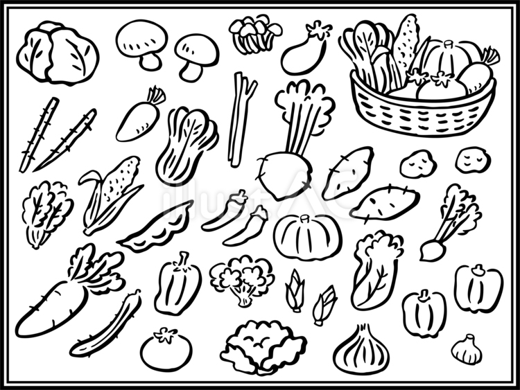 手描き野菜セット（白黒） 手描き,手書き,マジックのイラスト素材