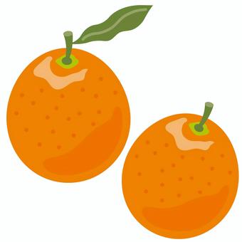 葉付きの金柑のカットイラスト 金柑,きんかん,フルーツ,柑橘,冬,春,食べ物,お正月,縁起物,料理のイラスト素材